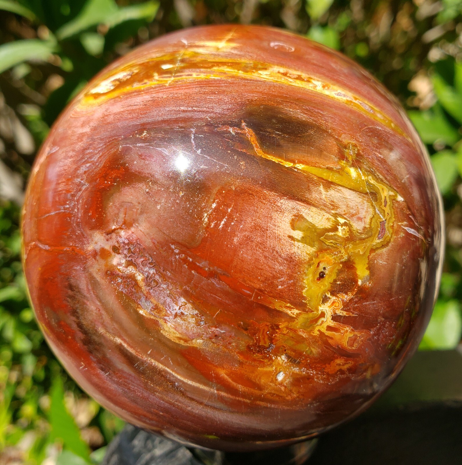 3.36″ Red Petrified Wood Sphere Orb Quartz Crystal Ball Fossil Mineral UV, 865g