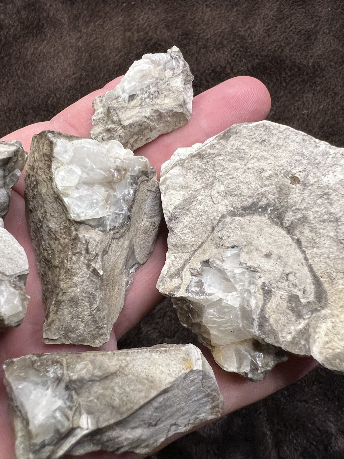 raw natural quartz crystal North East Mississippi Outcrop 5 Pieces
