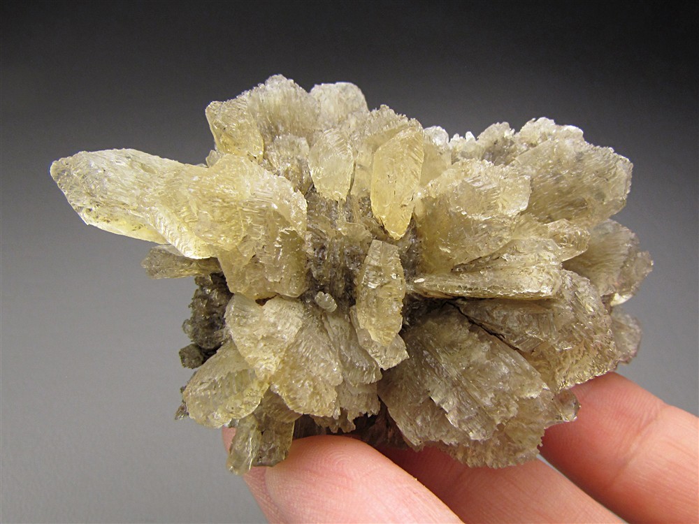 Selenite, Vienna, Austria