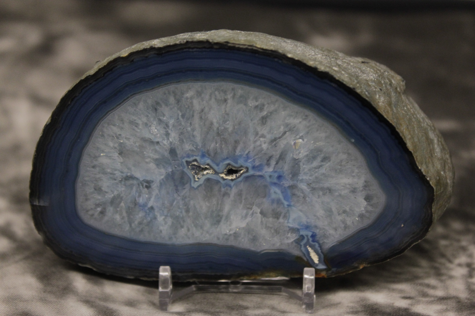 5 Display Stand Rock Fossil Mineral Agate Crystal Adjustable Holder BCW Prop