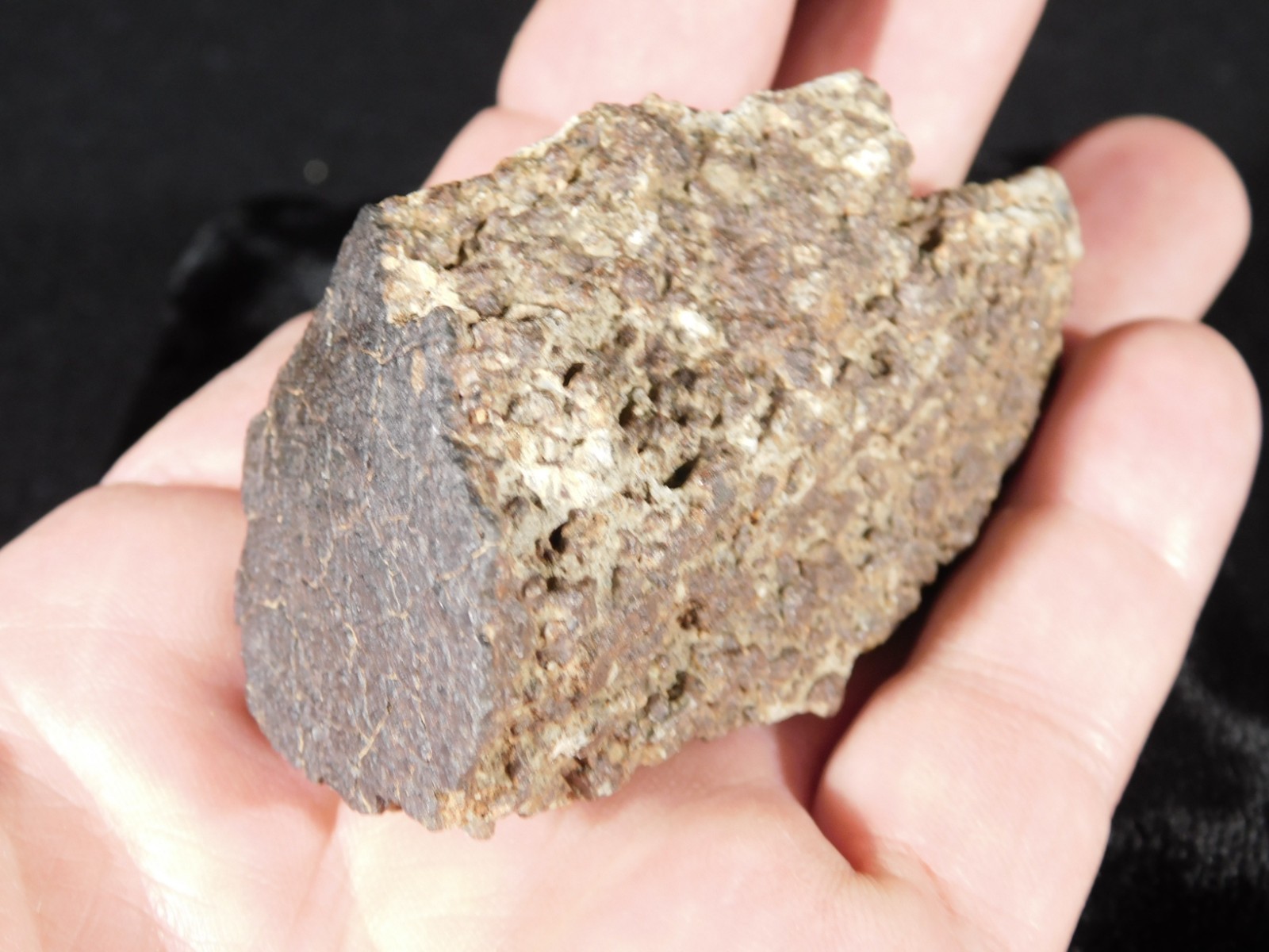 Classified NWA 8245 METEORITE Spots of Dark Fusion Crust! Erfoud, Morocco 136gr