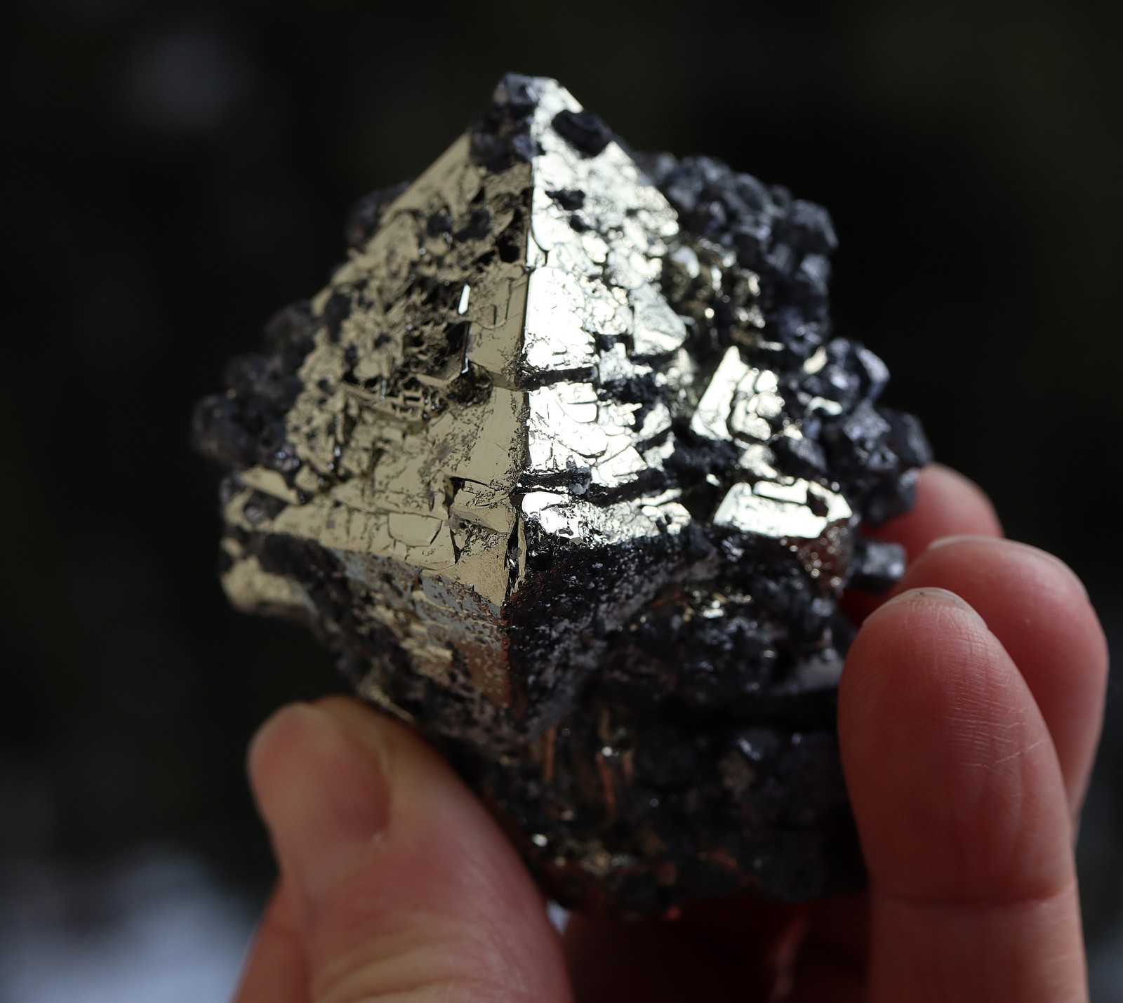 A perfect octahedron of pyrite with galena. No damage Huanzala mine Ancash, Peru