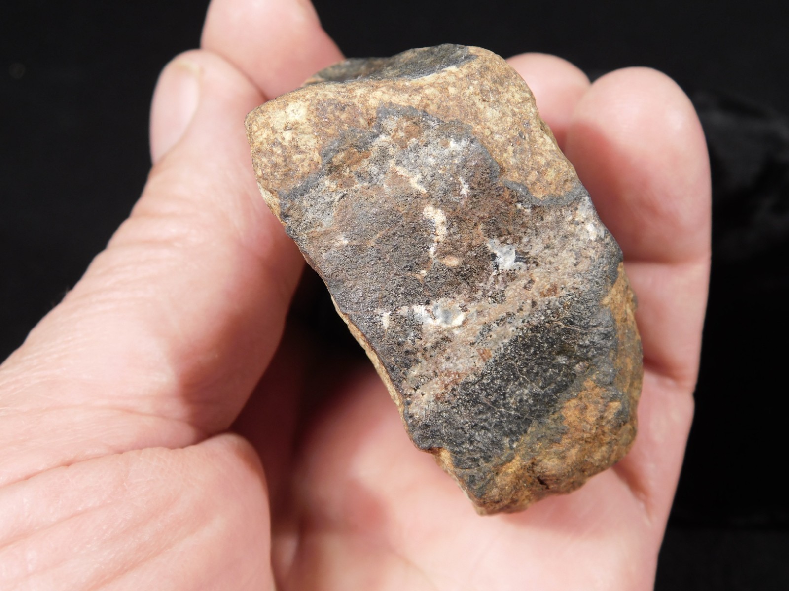 Larger Classified NWA 8245 METEORITE 100% Natural! Erfoud, Morocco 207gr
