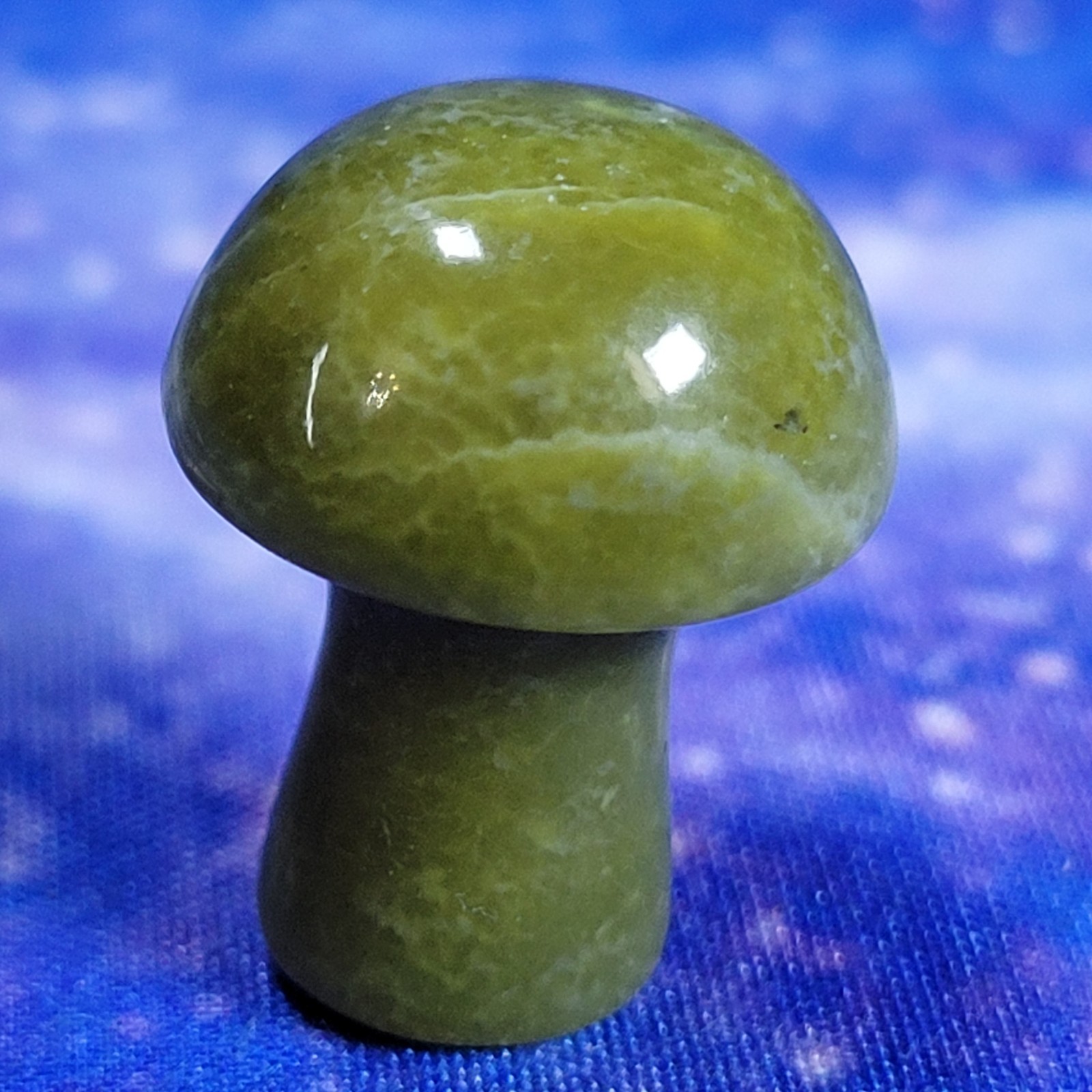 3 Magic Mushroom Carvings: Moss Agate/Picture Jasper/Serpentine 20mm w/Display