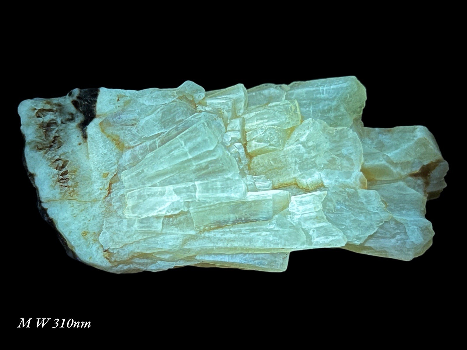 457 GM Beautiful Fluorescent Golden Aragonite Crystals Bunch from Khust