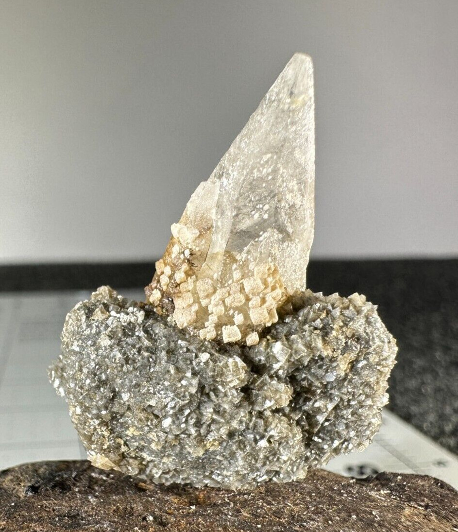 ➤ 1-1/2″ Tall SCALENOHEDRAL CALCITE Pleasant Ridge Rensselaer Indiana VIDEO➤697