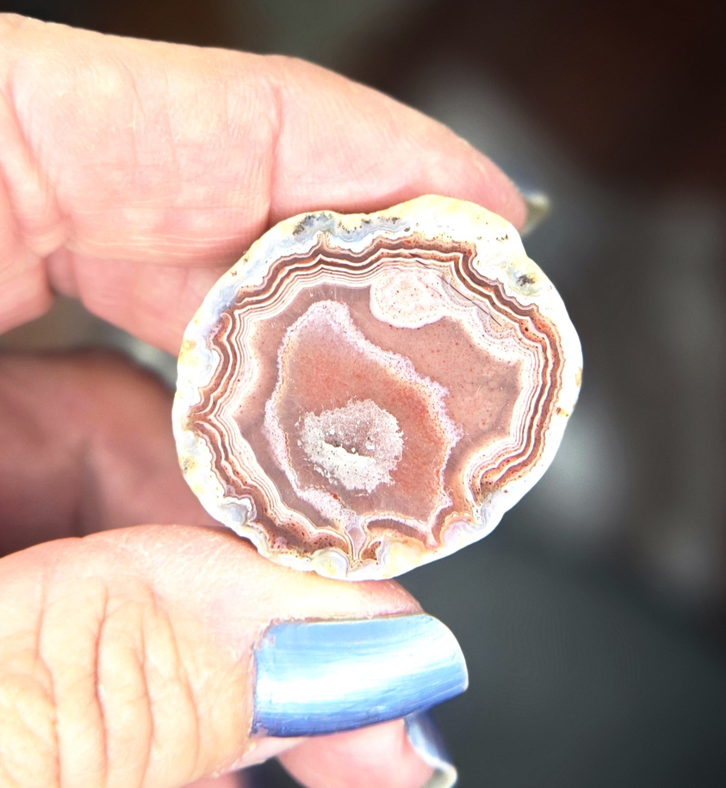 Kentucky Agate Display Specimen-Purple, pink, and blue with Polished Face # S-71