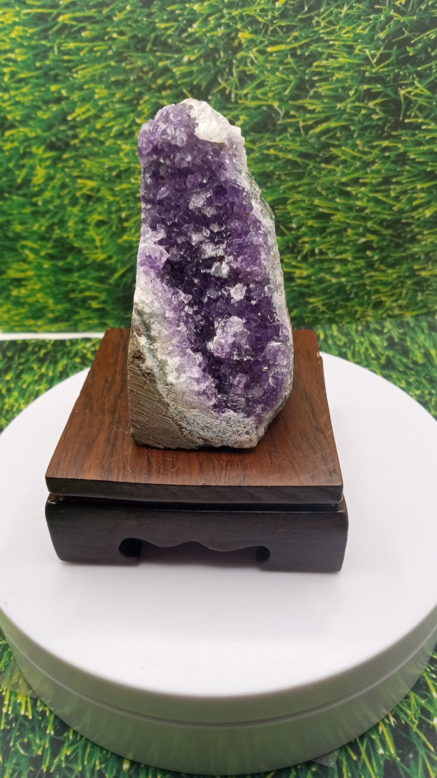 Beautiful Amethyst from Uruguay on Cherry Wood Stand ~