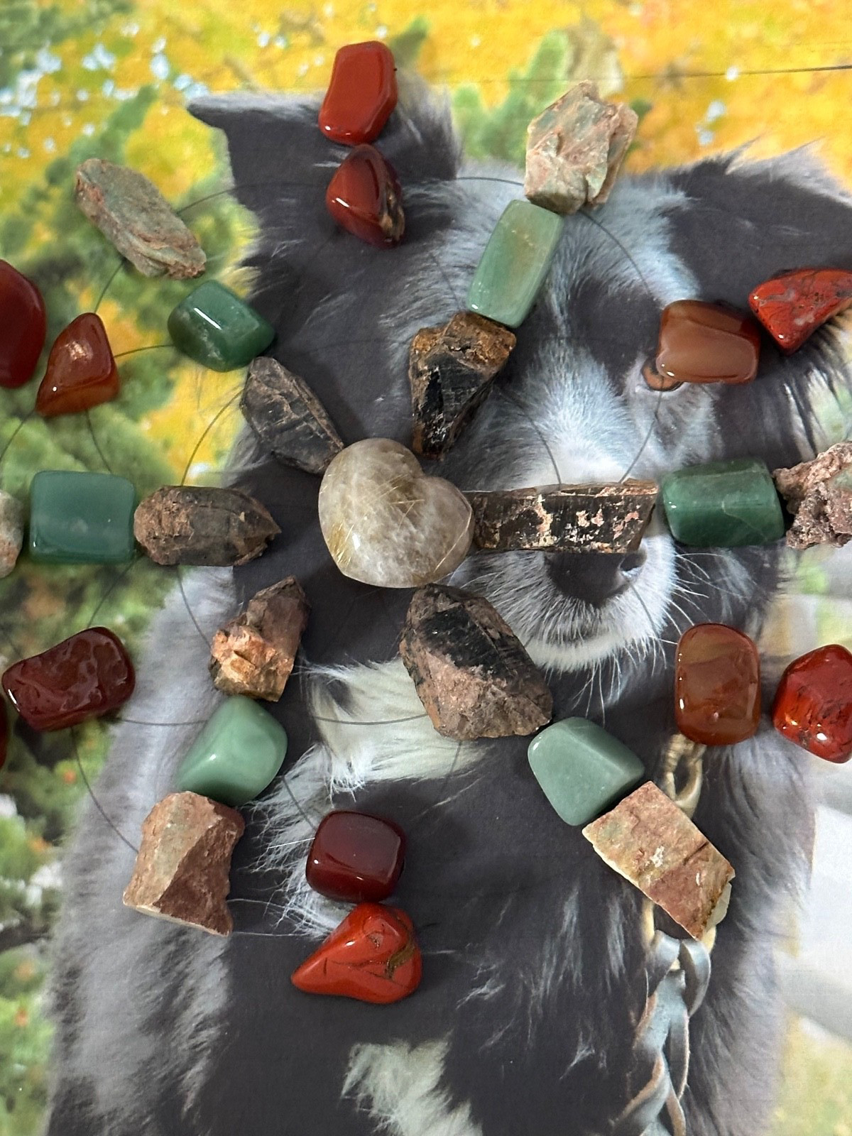 Dog Crystal Grid Kit for a Dog who has Reactivity