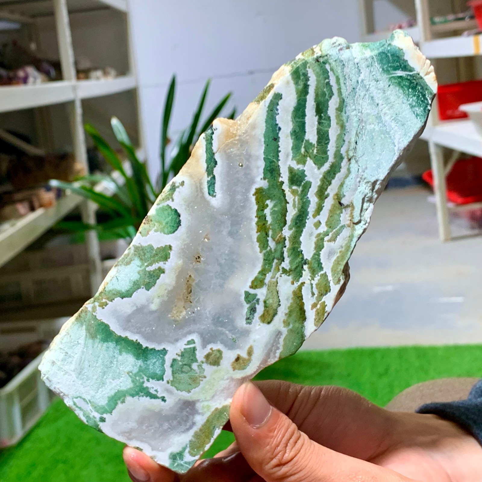 300G Natural green moss agate crystal raw stone flakes quart specimen