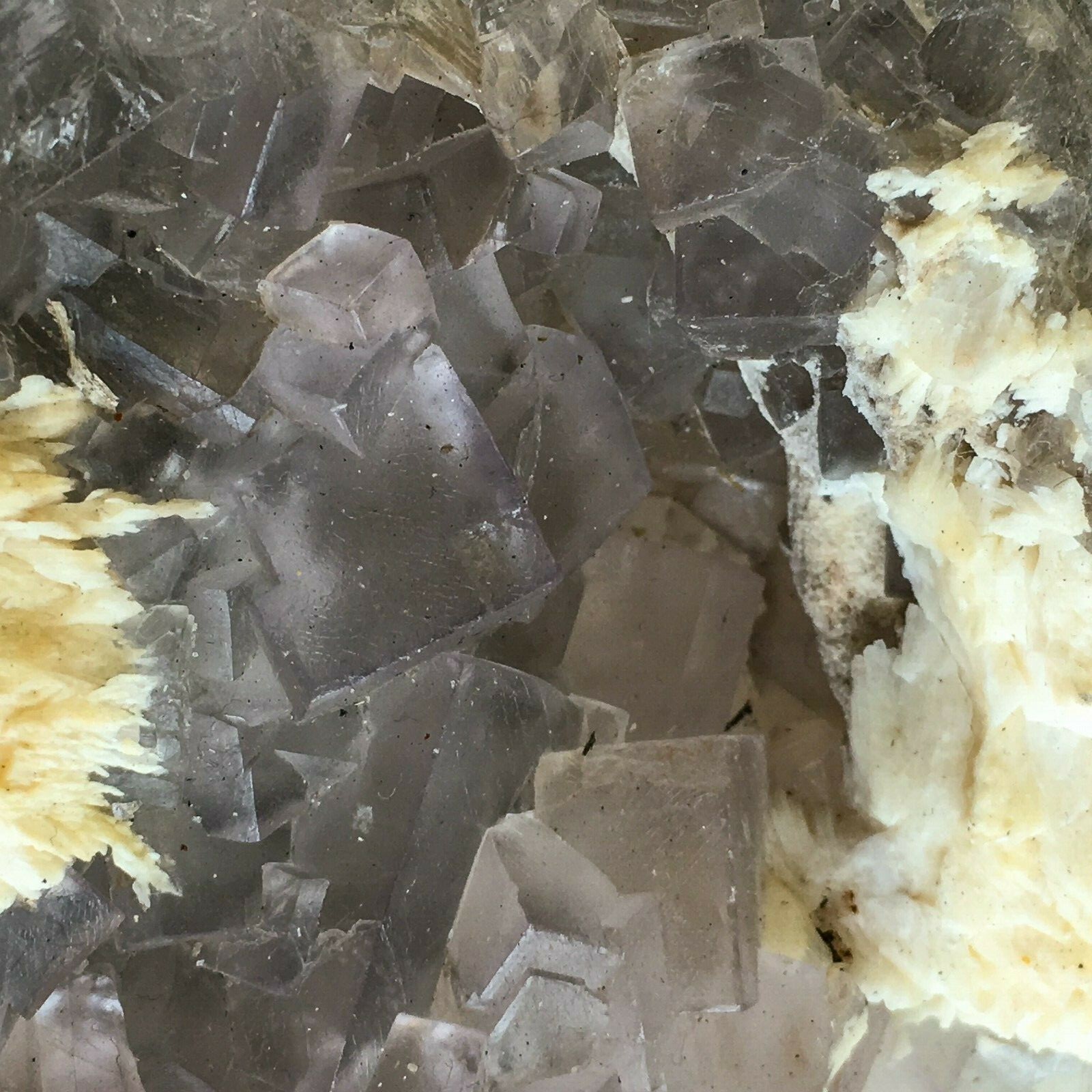 Purple (Lilac) Fluorite Crystal Cluster w/ Baryte: 3.8″ Long; 1 lb 7 oz (644 g);