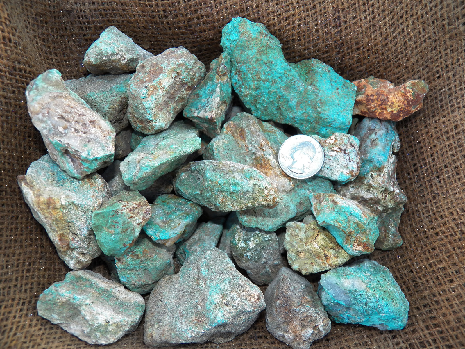 1000 Carat Lots of Natural Turquoise Rough (Not Stabilized) + a Free Gemstone