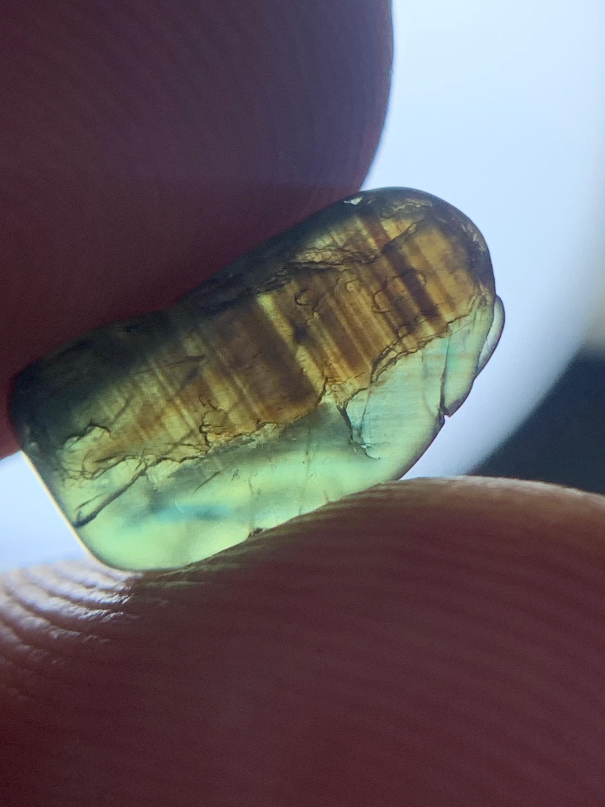 2.45 Crts Natural Stunning Bi Green Brown color Teal Sapphire rough @madagascar