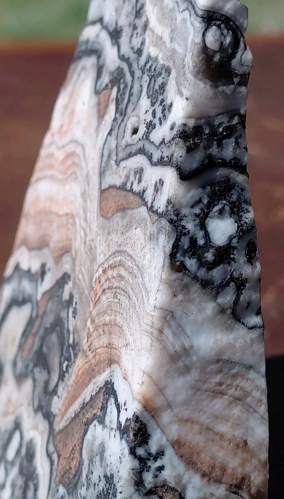 Zebra Calcite Self-Standing “Wedge” Dspl UV Psychedelic Wavey Band 3x 2 1/2″
