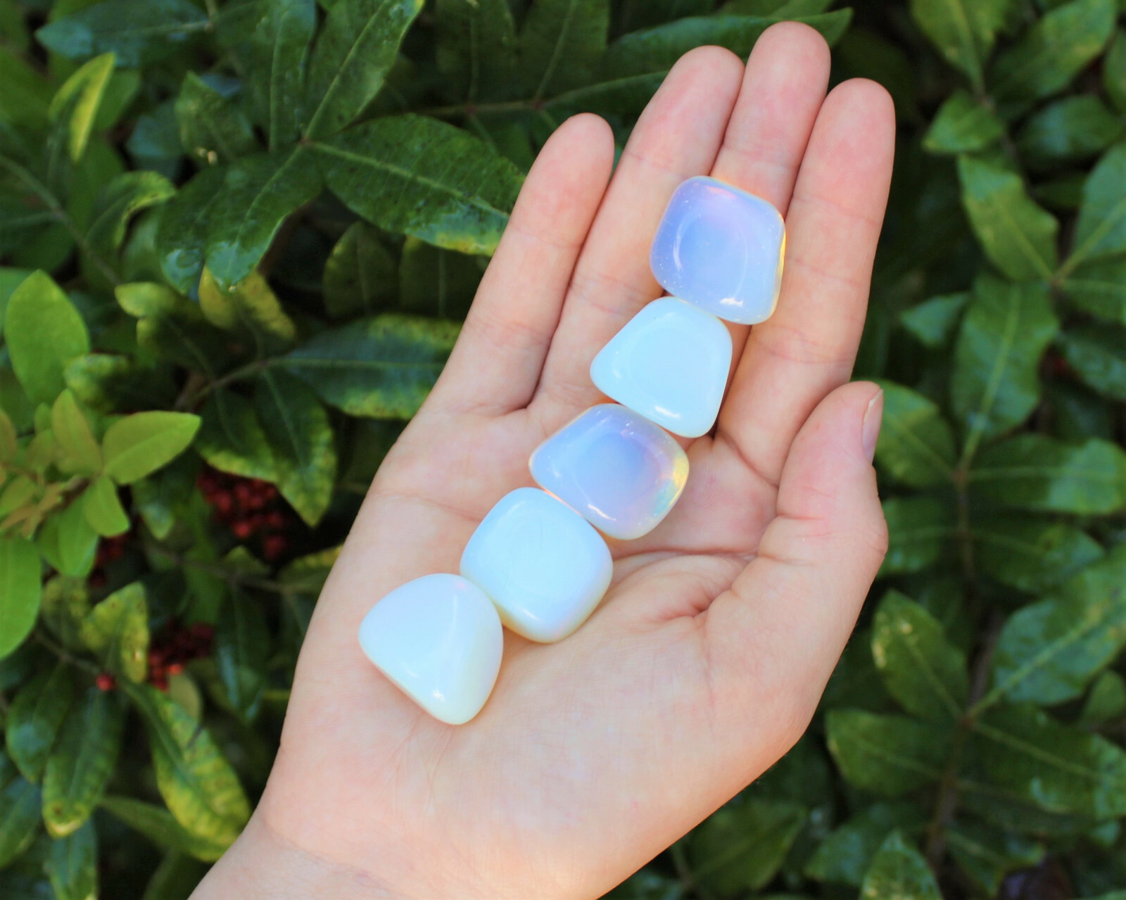 1/2 lb Bulk LARGE Opalite Tumbled Stone Crystal Healing Gemstone 8 oz