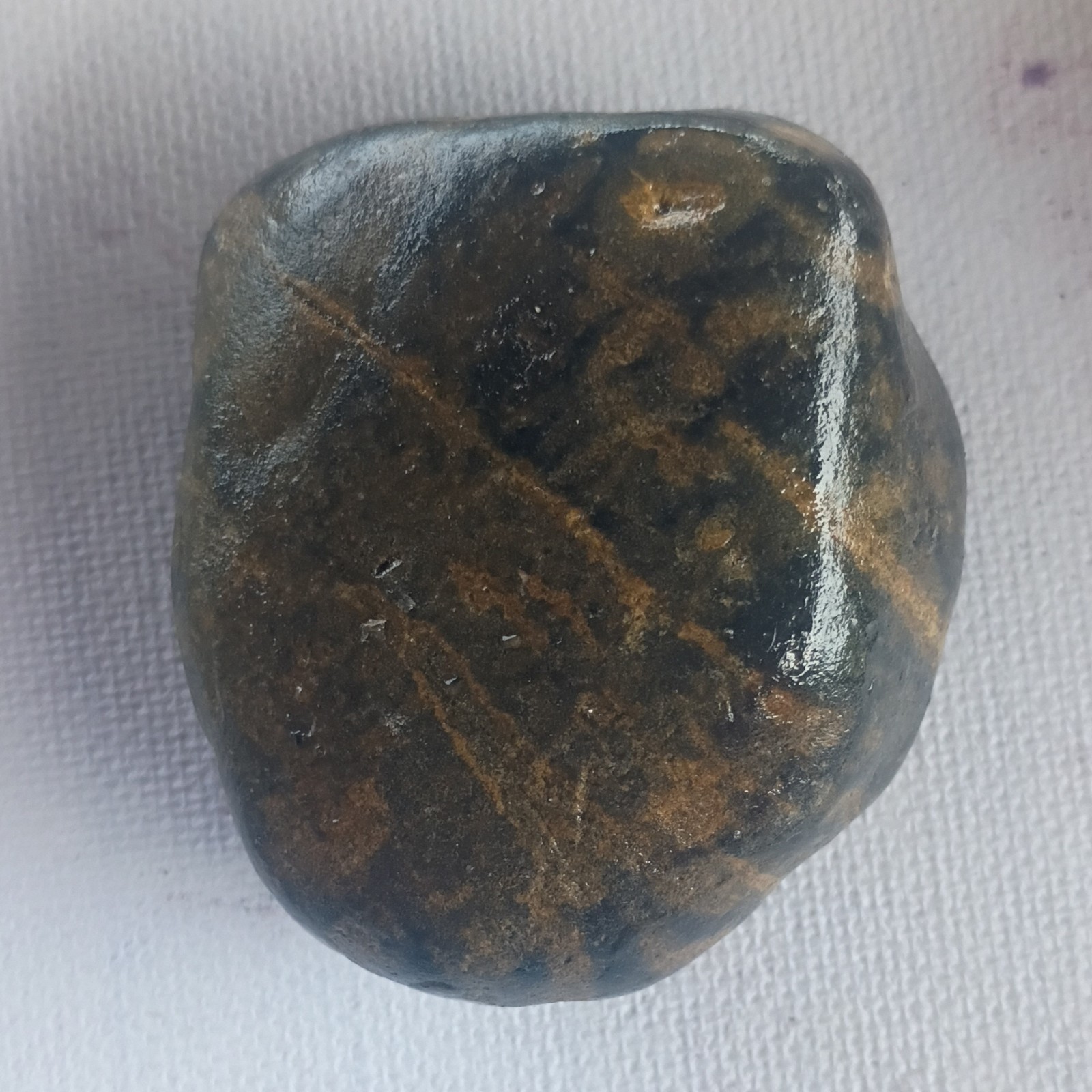 Polished Dark Brown Black Stone Mineral Specimen With Brown Veining Display