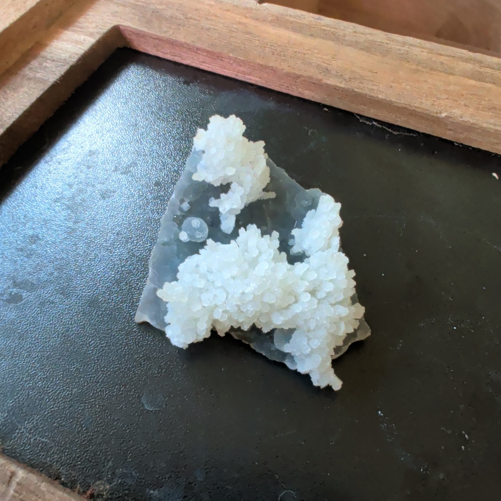 White flower formations atop a blue chalcedony base Mineral Display Piece Raw