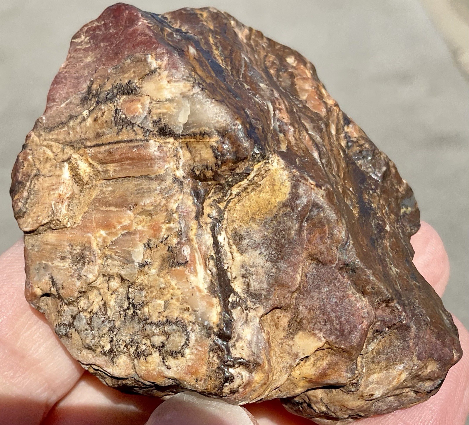 141g Banded Iron Petrified Wood Pseudomorph Rare Minnesota Rough Lapidary