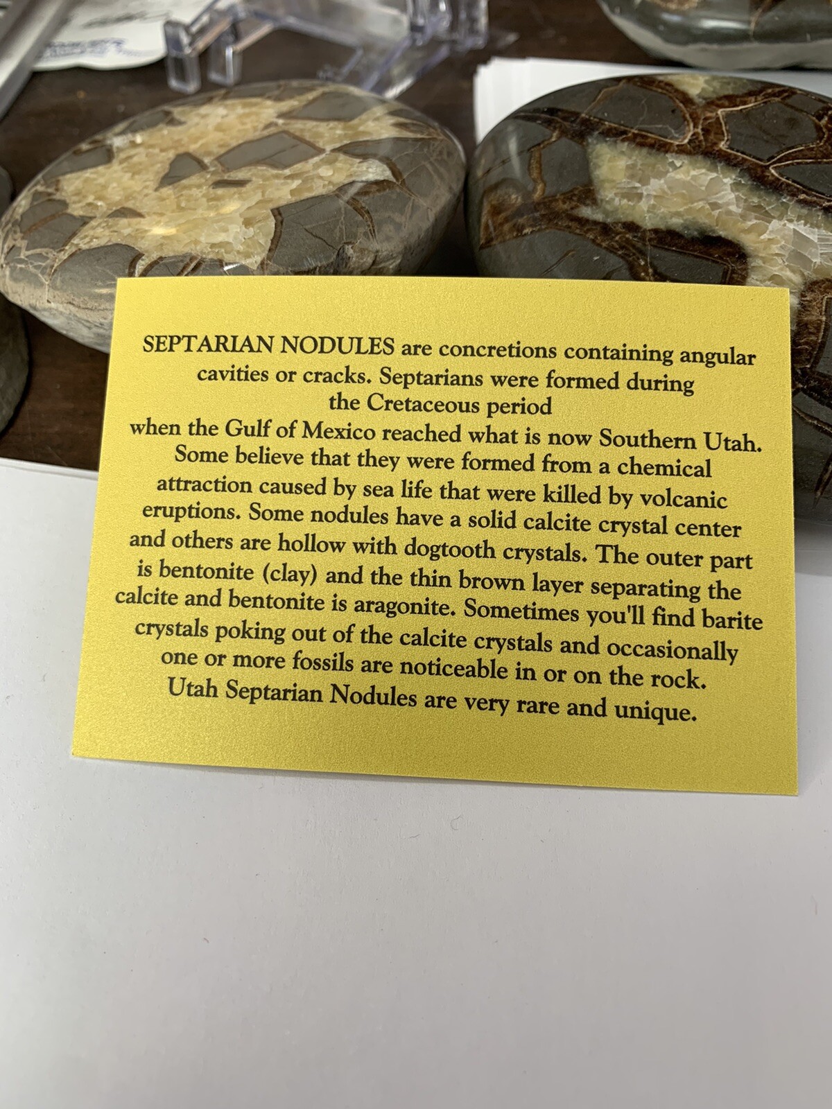 Septarian Nodule, Dragon Stone,End cut ( Utah ), Description Card