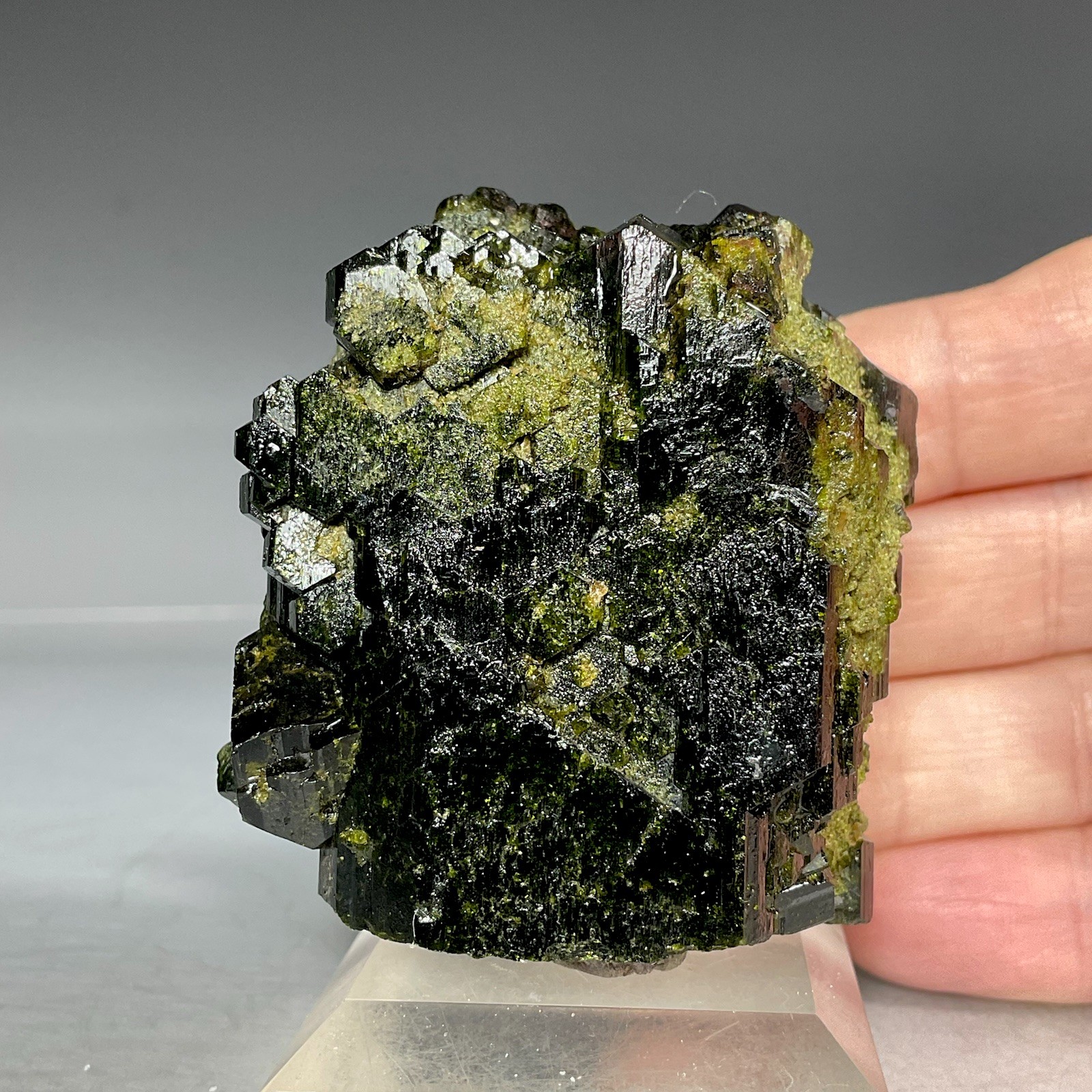 SS Rocks – Epidote (Caneto Province, Lima, Peru) 137g