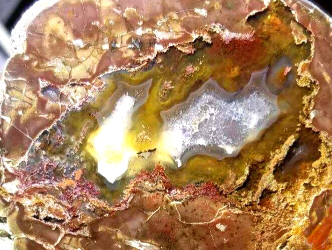 POLISHED RARE Oregon Mill Creek Thunderegg (No Cracks Agate)Ghost Crystal Plumes