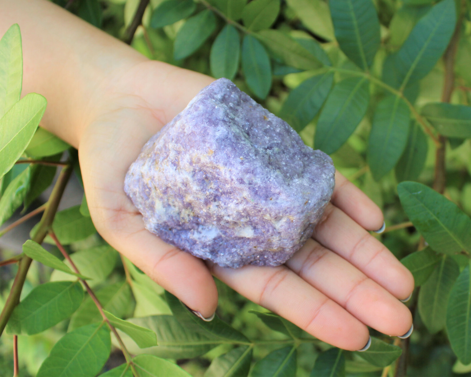 JUMBO Rough Lepidolite: 3″ – 5″ Huge Raw Natural Lepidolite Healing Crystals