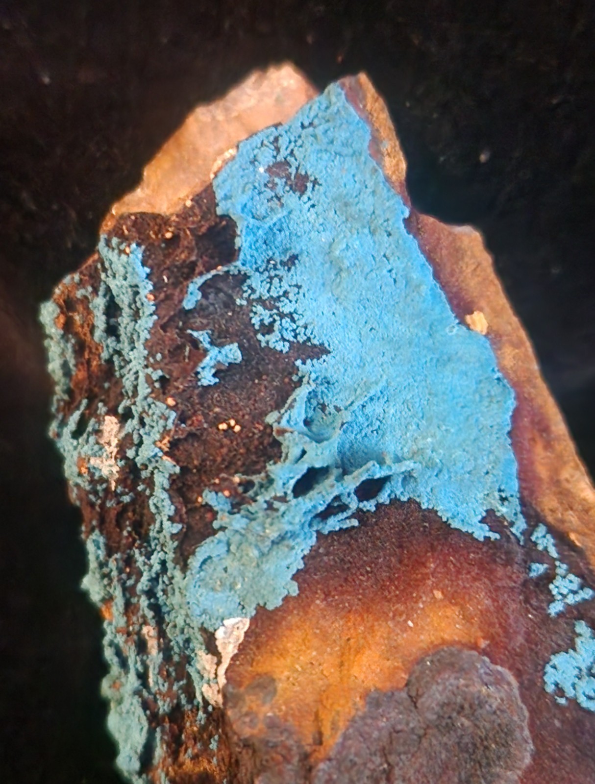 Shattuckite w/ Marcasite, Yunnan China, SCAB, TOP GRADE, Vivid Blue Display