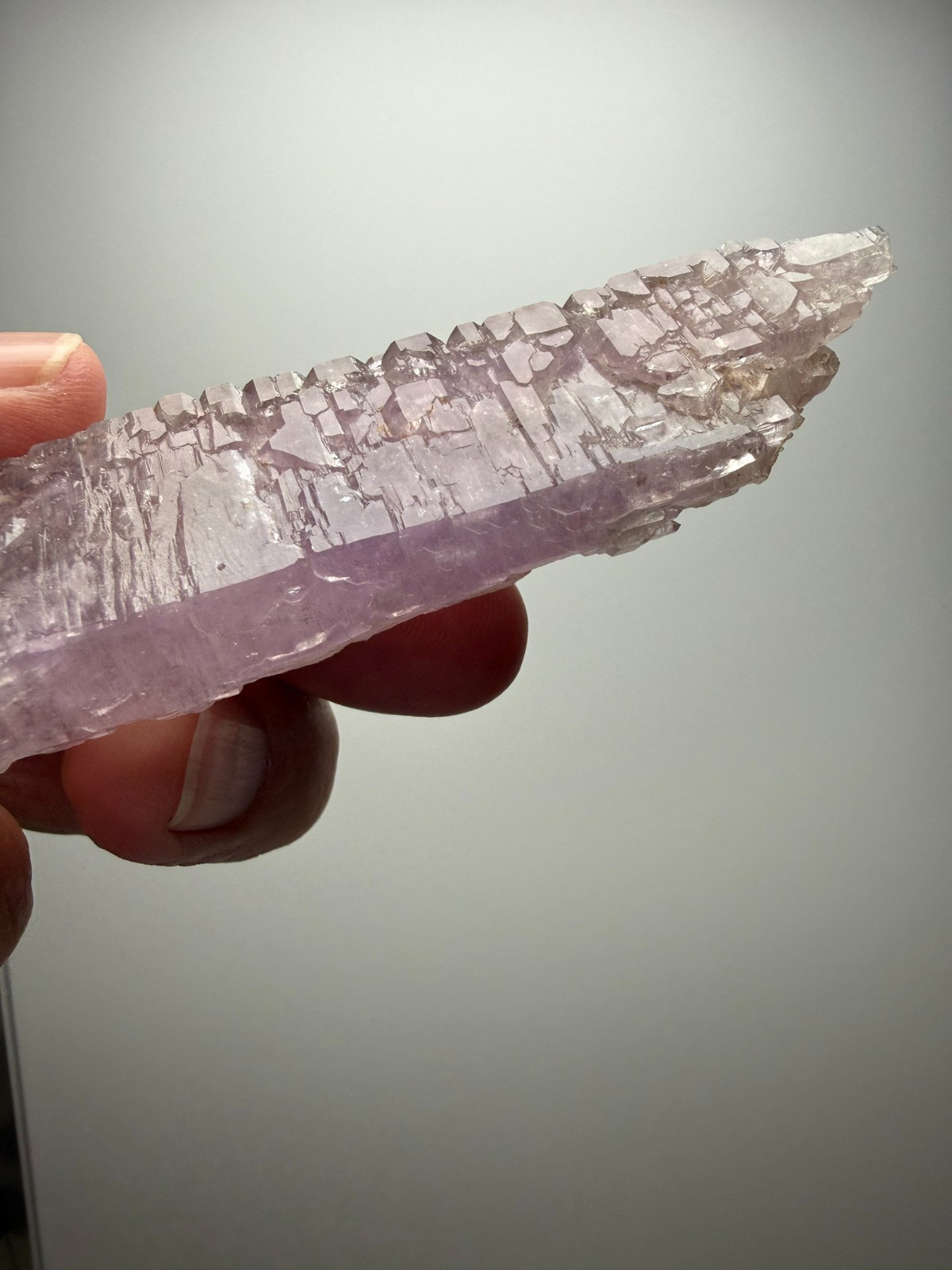 AMAZING Jacare Amethyst- Buridan’s Mule Claim, New Mexico- RARE PIECE!