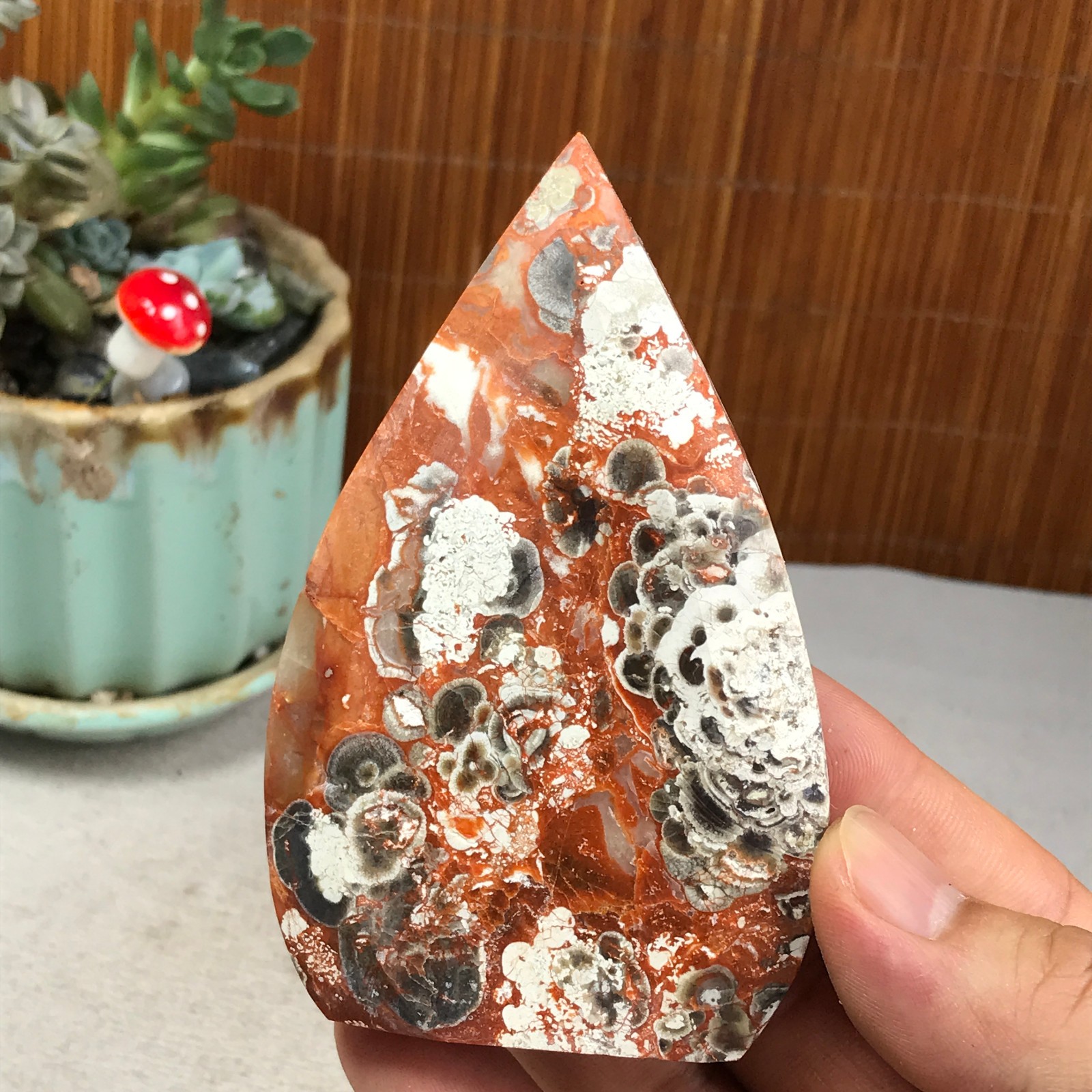 Natural money Mexico agate hand carve leaf Crystal Specimen free standing A6266