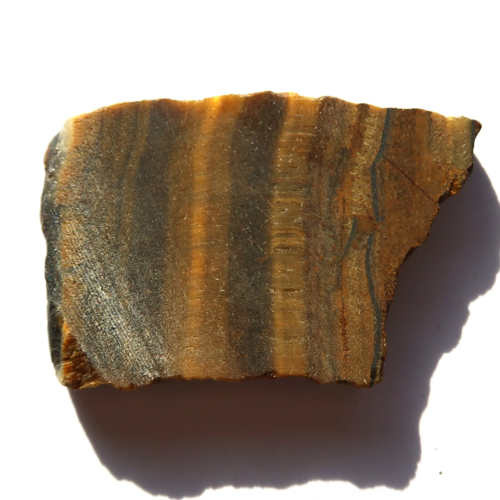 Tiger Eye Slice NOT Polished JW153