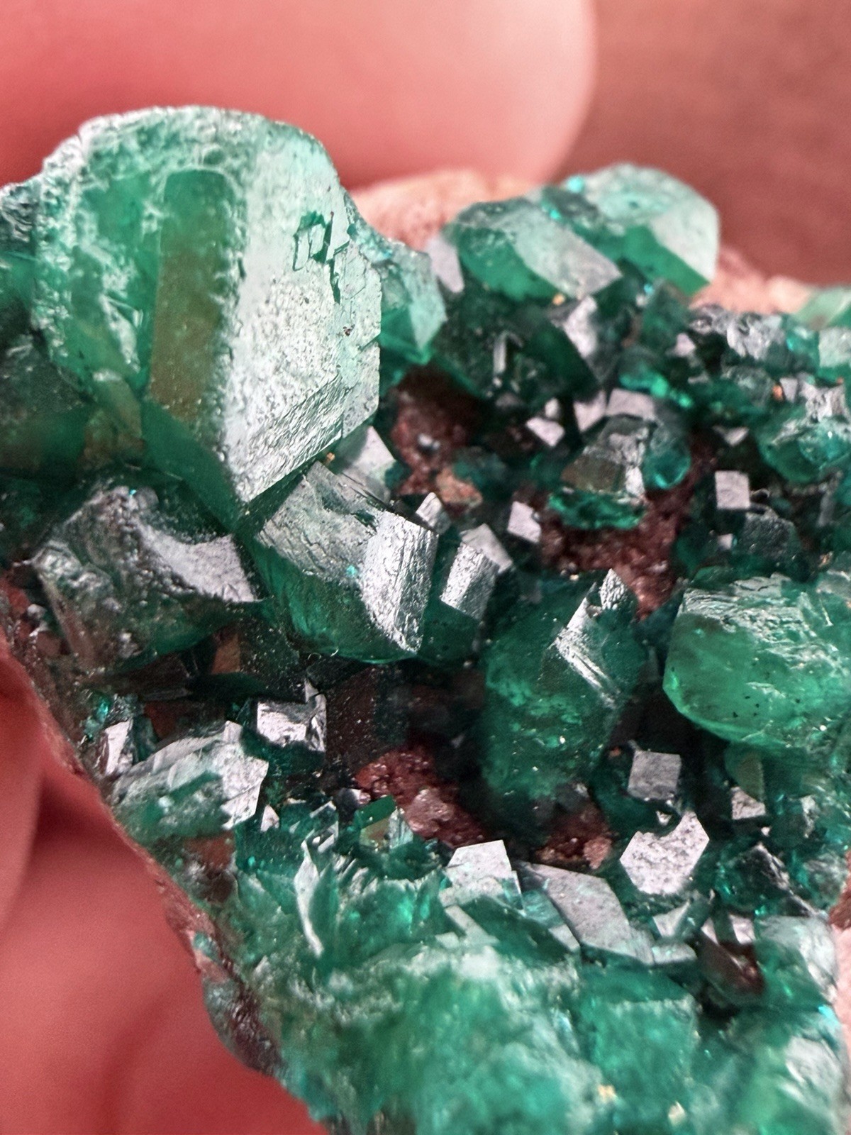 Emerald Green Dioptase Crystal Cluster from the Congo in Africa 22.6 g.