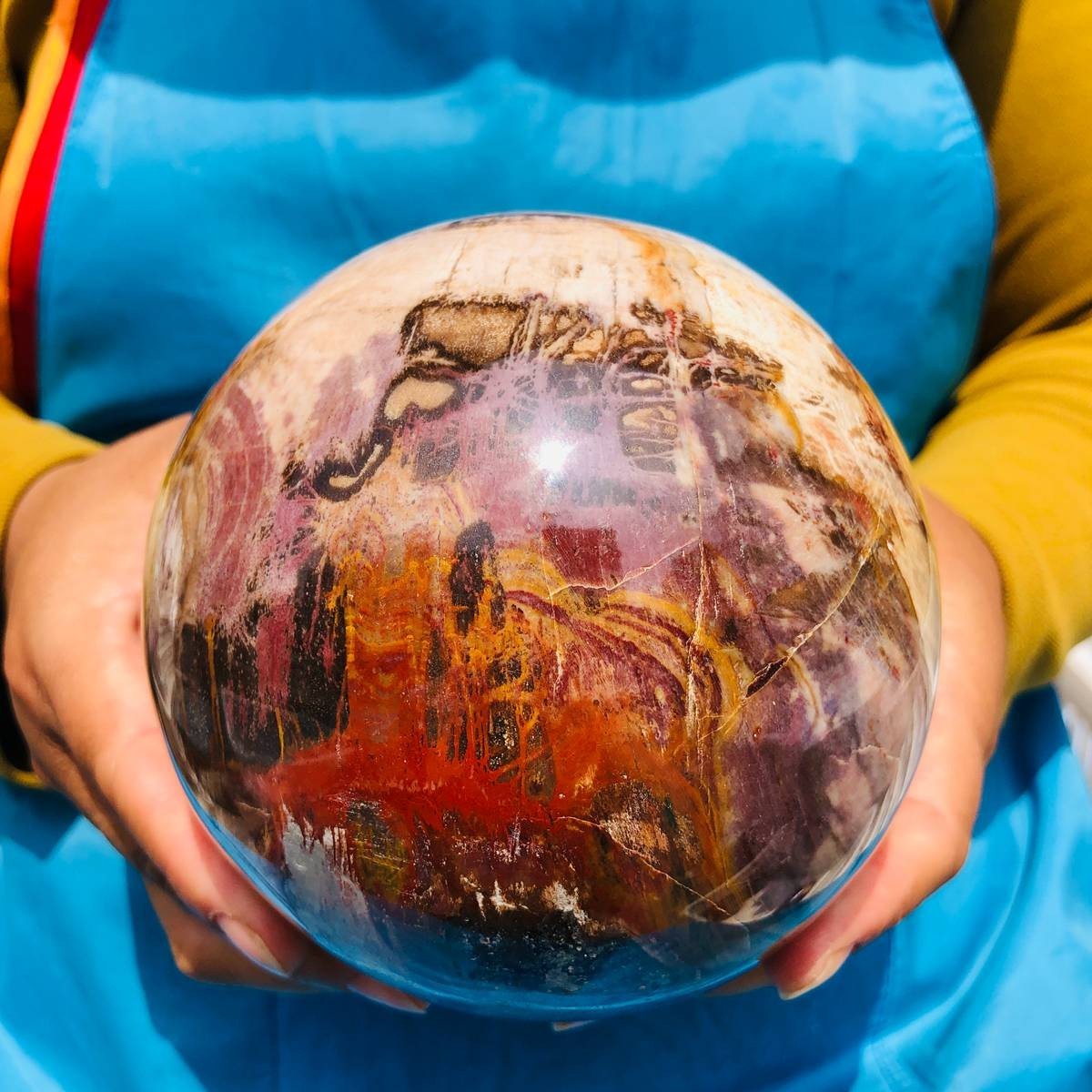 4.59LB Natural Petrified Wood Sphere Polished Crystal Ball reiki healing