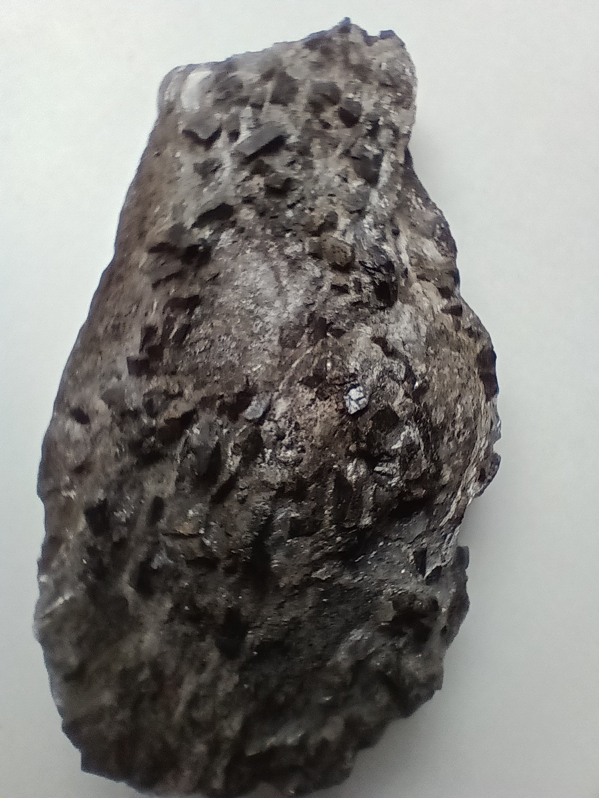 Staurolite in Mica from Maine, Fairy Cross, St Andrews Cross, Good Luck Stone