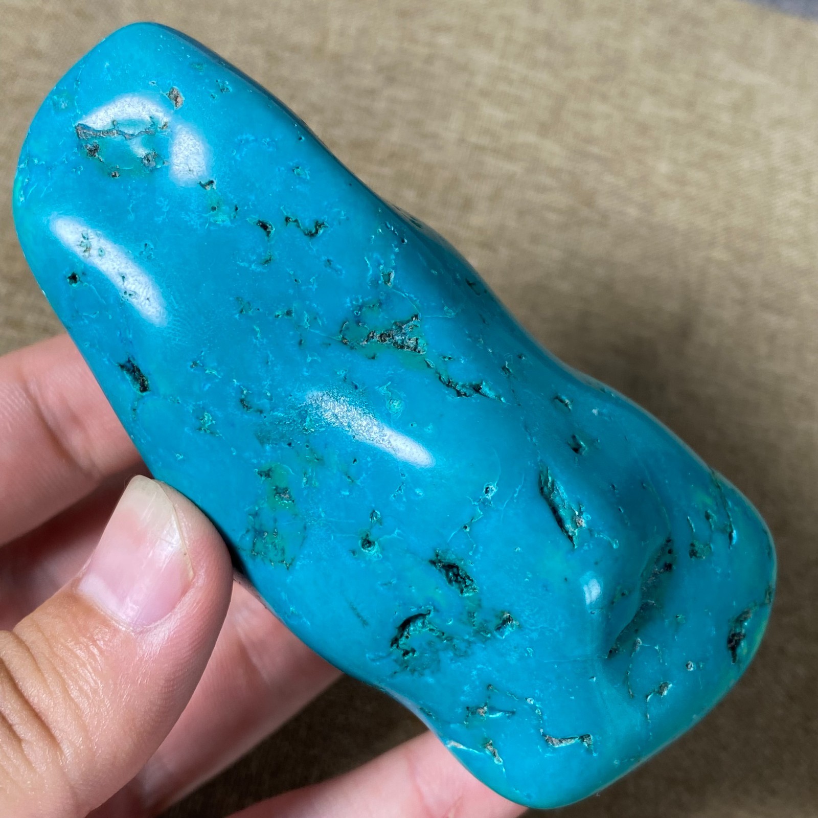 183g Beautiful Turquoise Nugget Rough specimen W381