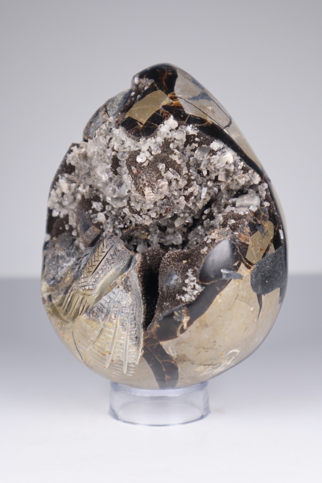 Huge Septarian Dragon Egg 4.3lb Calcite Crystal Cave Fossil Shell Display Stone