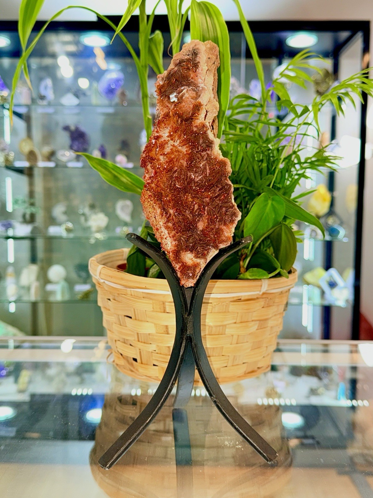 Vanadanite 🇲🇦
