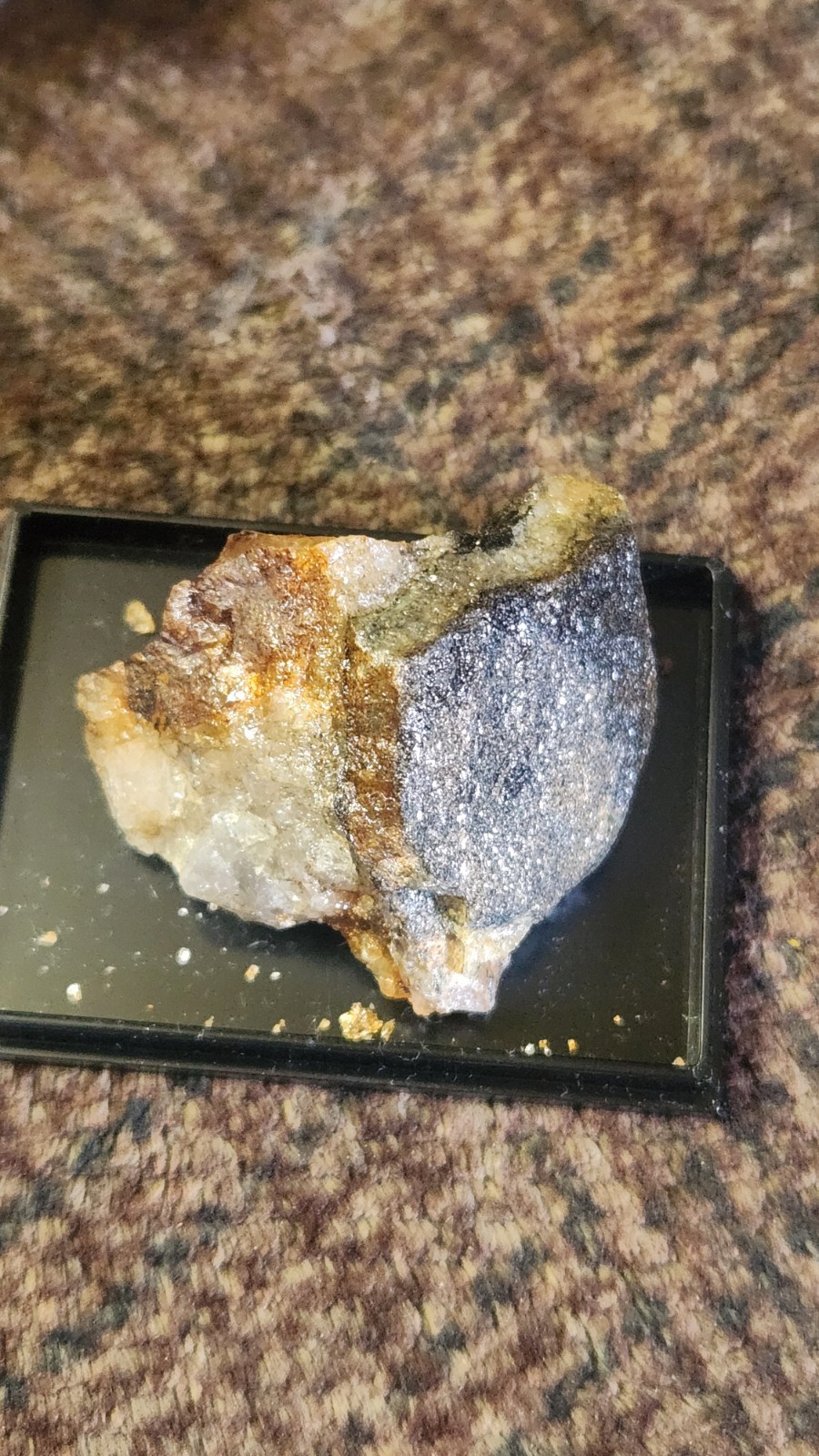 Gold Silver Quartz Crystal Mineral Specimen w Metallic Inclusions on Black Base