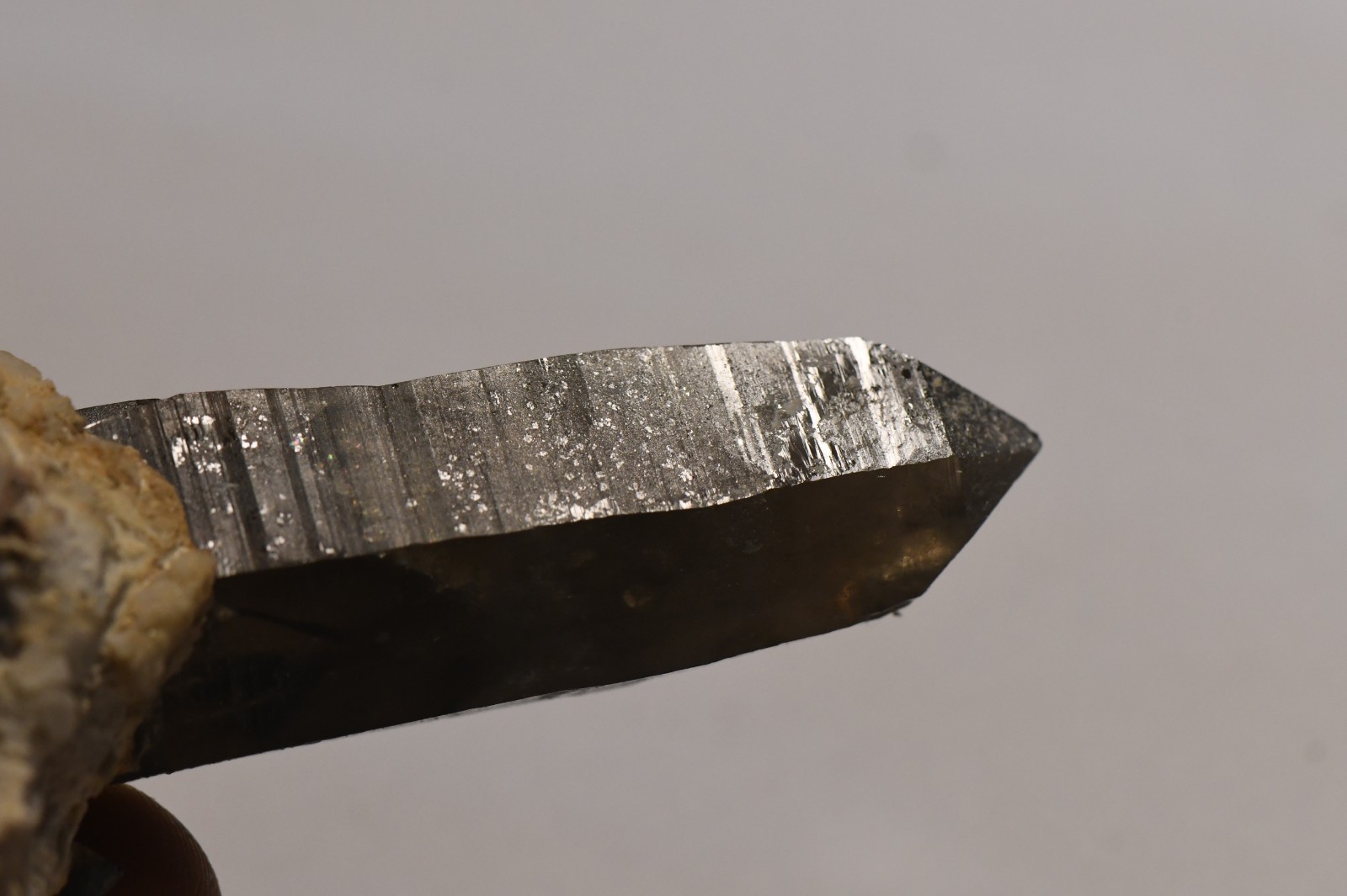 #31 Very Dark Smokey Quartz Crystal Sawtooth Mts Idaho 3.6 x 1.5 x 2.0 inches