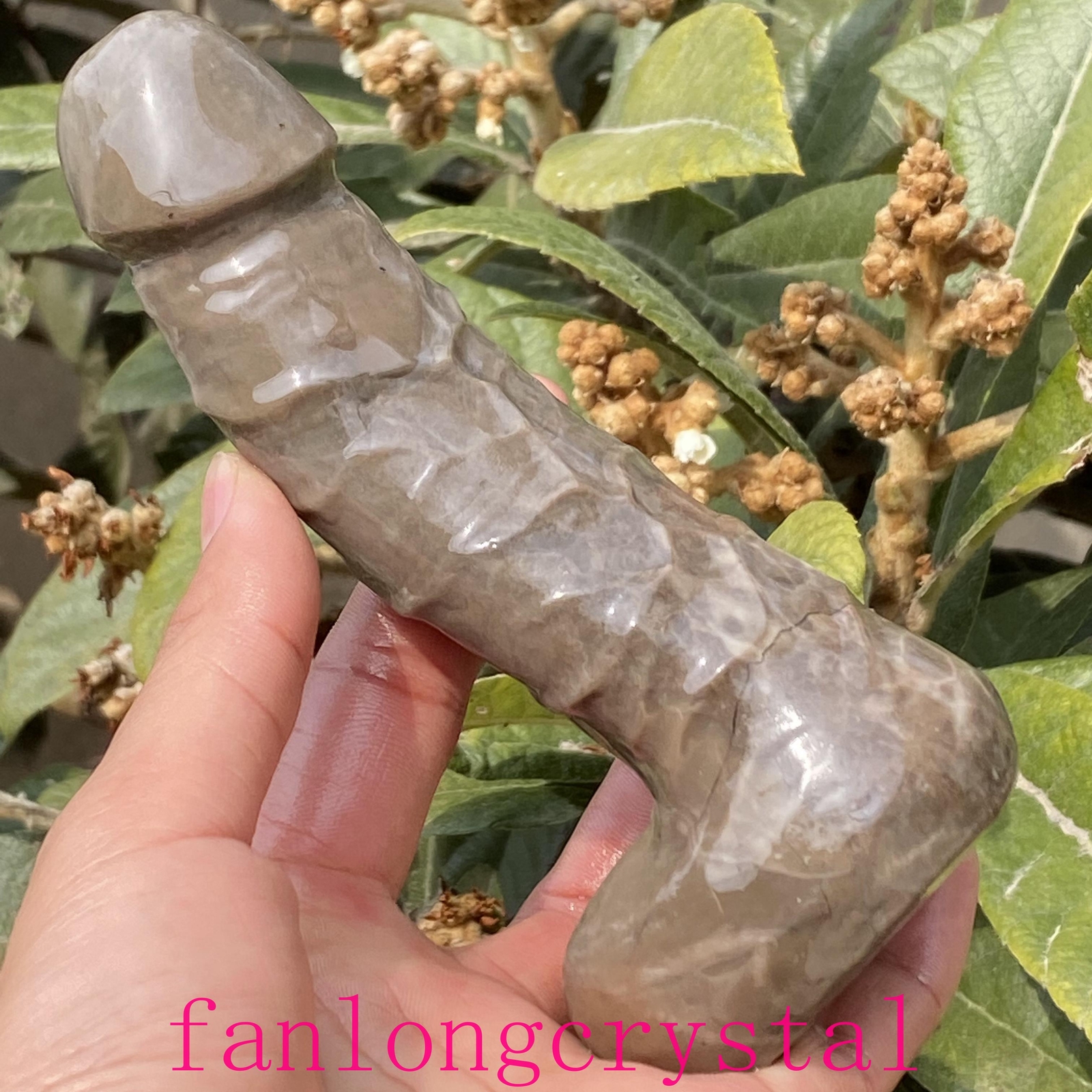 6in Natural Volcanic agate male penis Quartz Crystal Carved Figurines Reiki 1pc