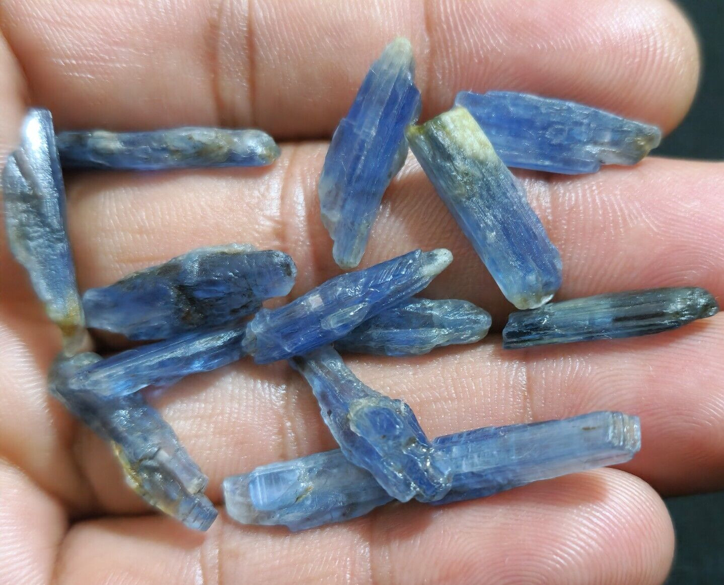 Amazing Quality Blue Kyanite Raw 14 Pcs Lot Size 18-23 MM Huge Loose Gemstone