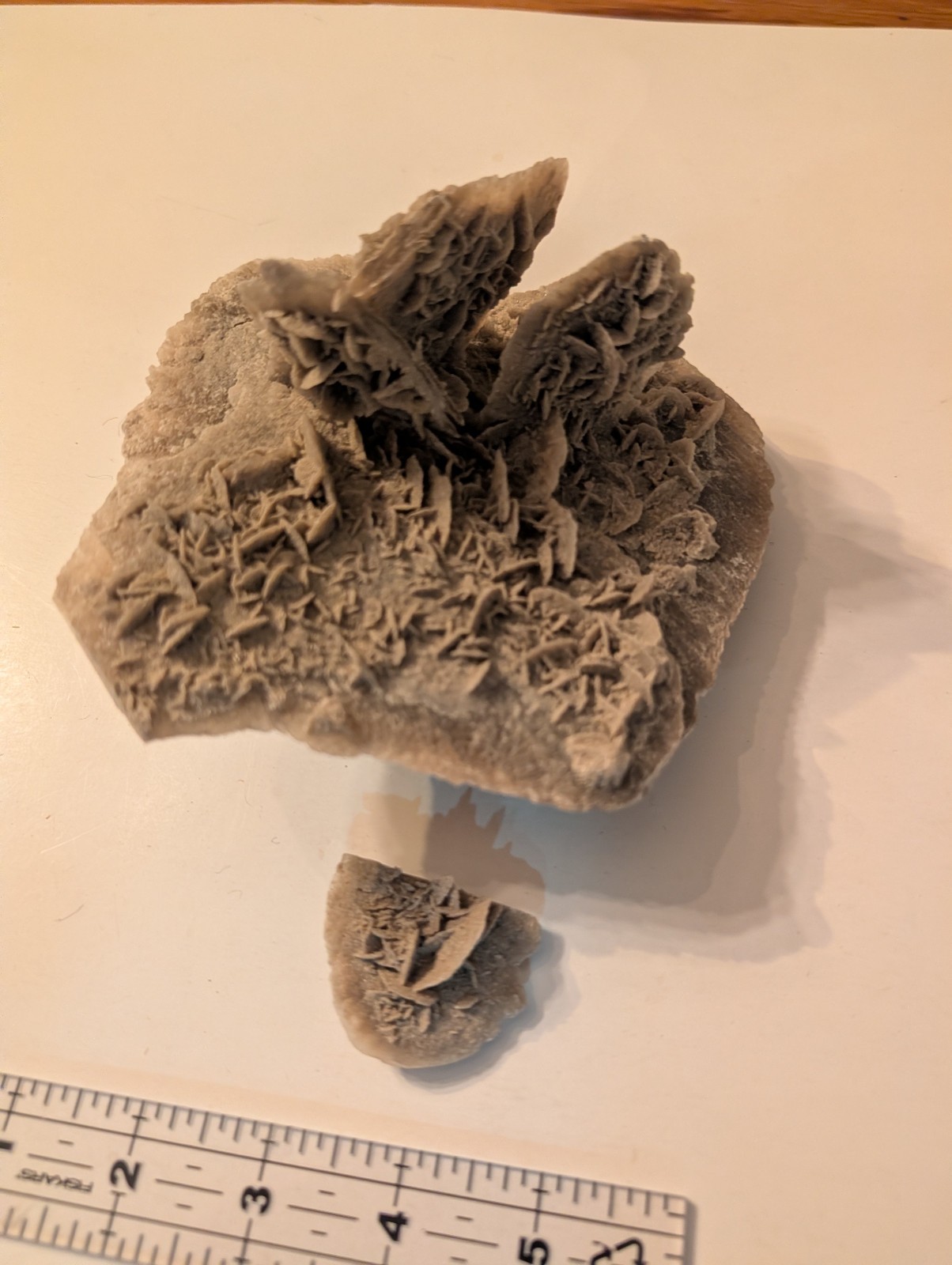 Large Desert Rose Selenite Gypsum Crystal Cluster Raw Mineral Specimen