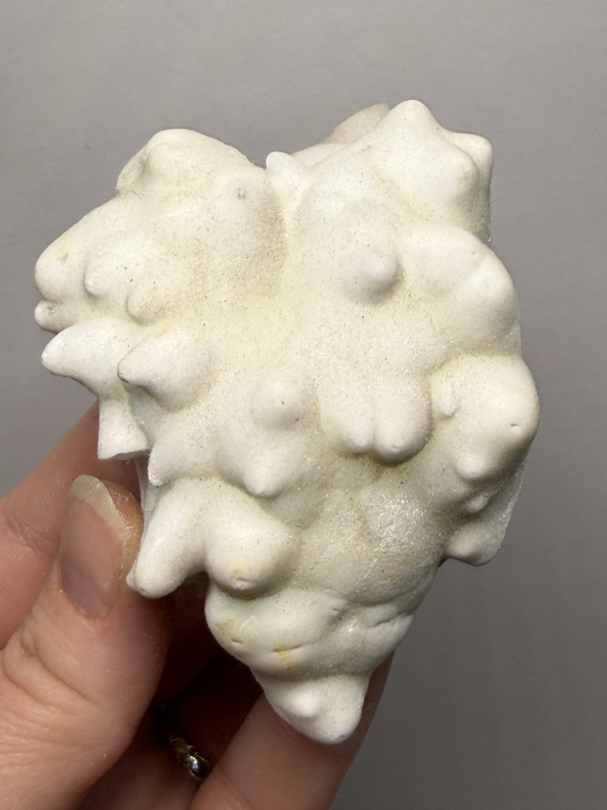 Superb White Flos Ferri Aragonite “Flower of Iron” | Lom Vitošov, Czech Republic
