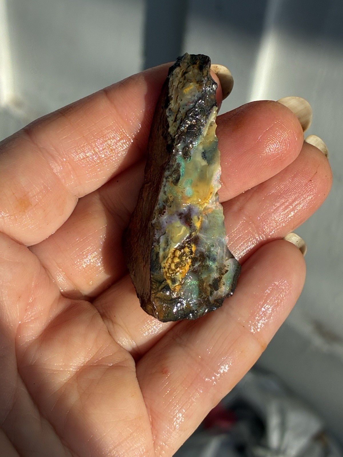 Beautiful 89ct Large Australian Boulder Opal Rough Loose Multicolor Specimen J
