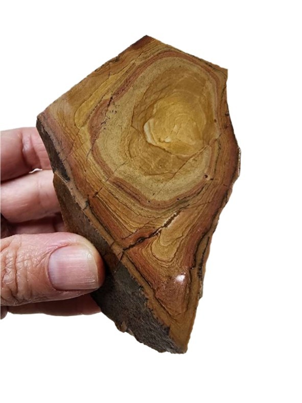 Picture Jasper Face Rough 186.7 grams. Lapidary or Display