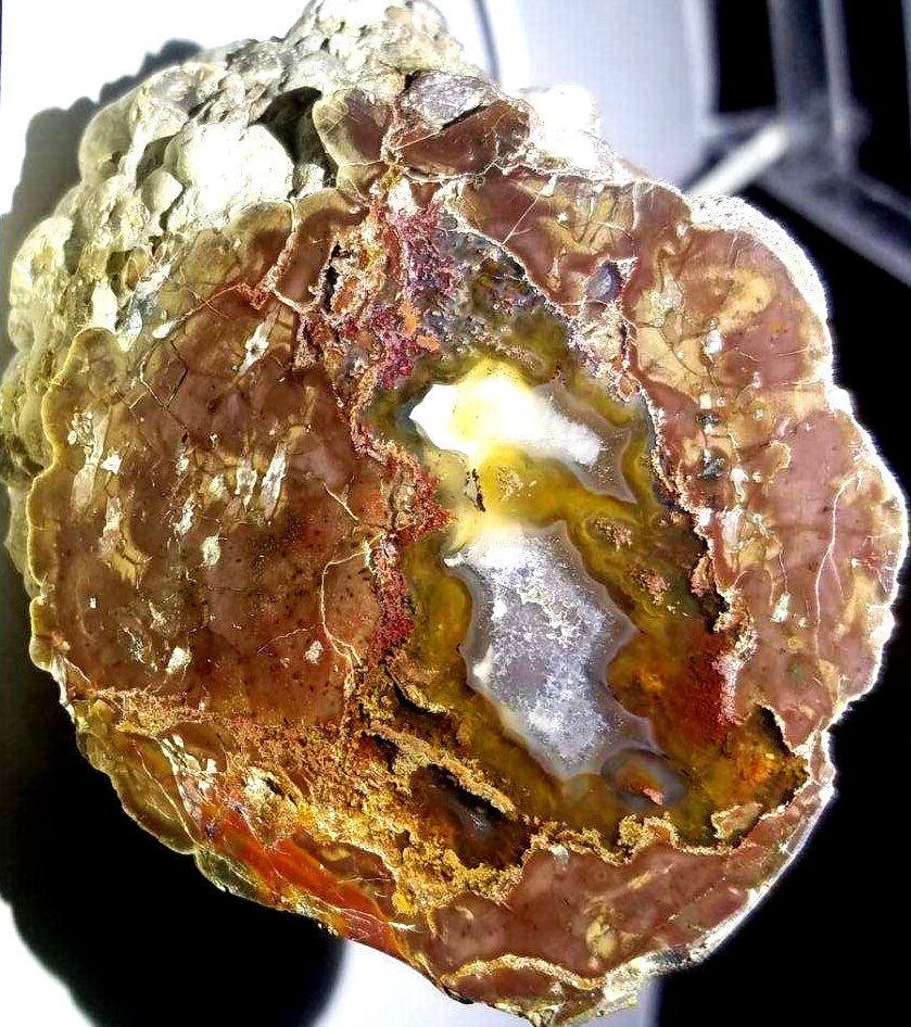 POLISHED RARE Oregon Mill Creek Thunderegg (No Cracks Agate)Ghost Crystal Plumes