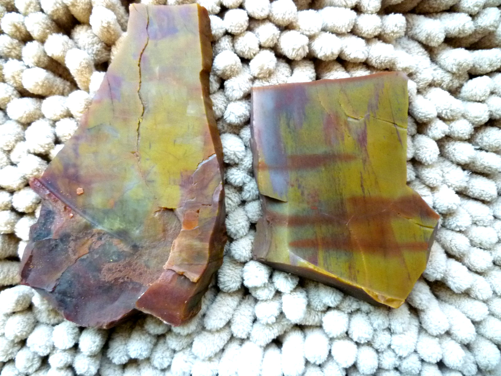 Arizona Rainbow Petrified Wood Agatized 2 slab pieces 8.2 ounces Great Colors