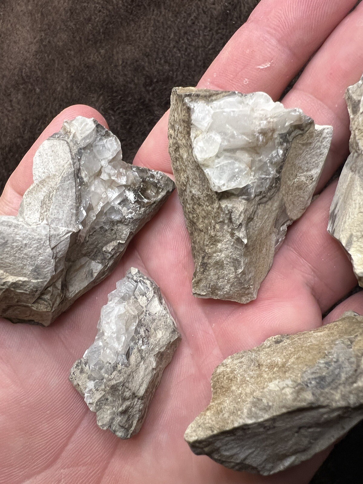 raw natural quartz crystal North East Mississippi Outcrop 5 Pieces