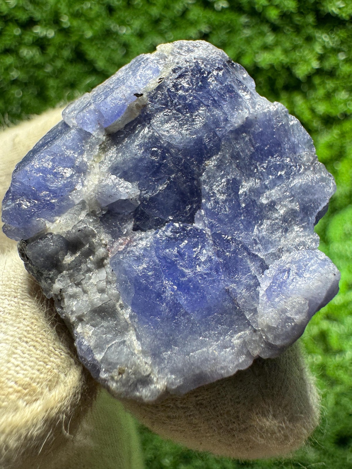 Lovely TANZANITE Crystal with COLOR CHANGE under yellow/white light / N375