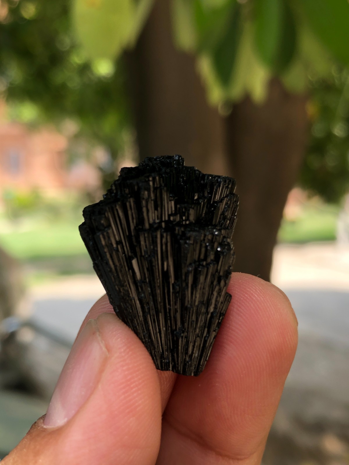 Black Tourmaline Termination Crystal Specimen From Pakistan 10.70 G