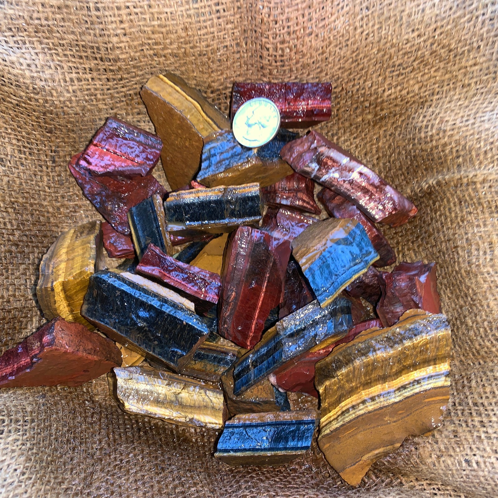 MIXED Tiger Eye Rough (RED, BLUE, GOLD)- 1000 Carat Lots+a FREE Faceted Gemstone